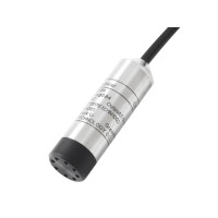 HPT604-H Water Level Sensor with Economical Model