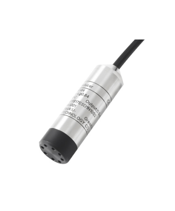 HPT604-H Water Level Sensor with Economical Model